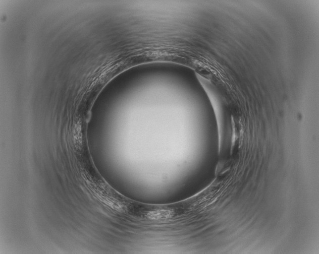 X0000059080700200510211542