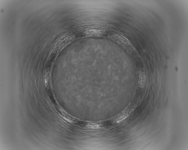 X0000059080701200510211542