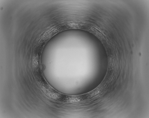 X0000059080702200510211542