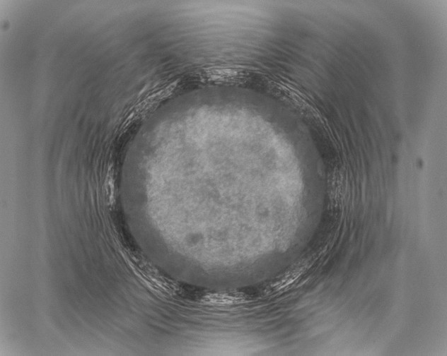 X0000059080703200510211542