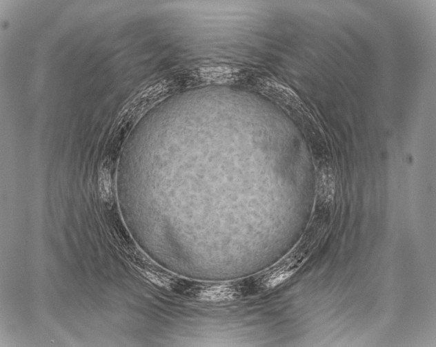 X0000059080705200510211542