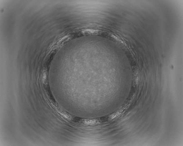 X0000059080709200510211542