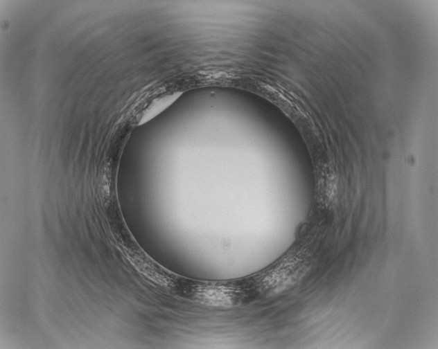 X0000059080710200510211542