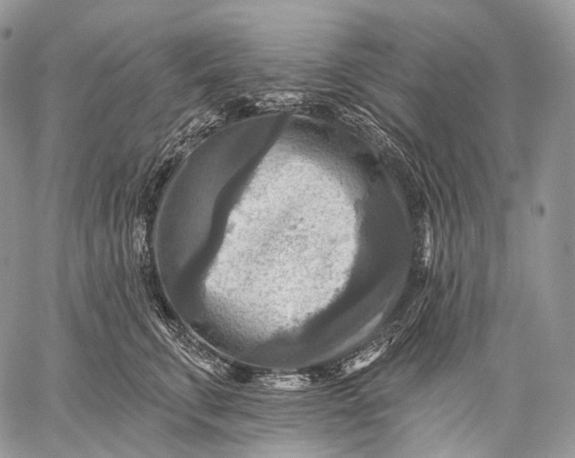 X0000059080711200510211542