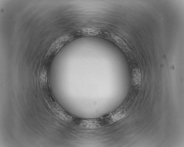 X0000059080713200510211542