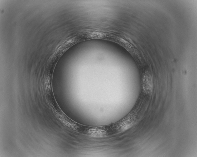 X0000059080714200510211542