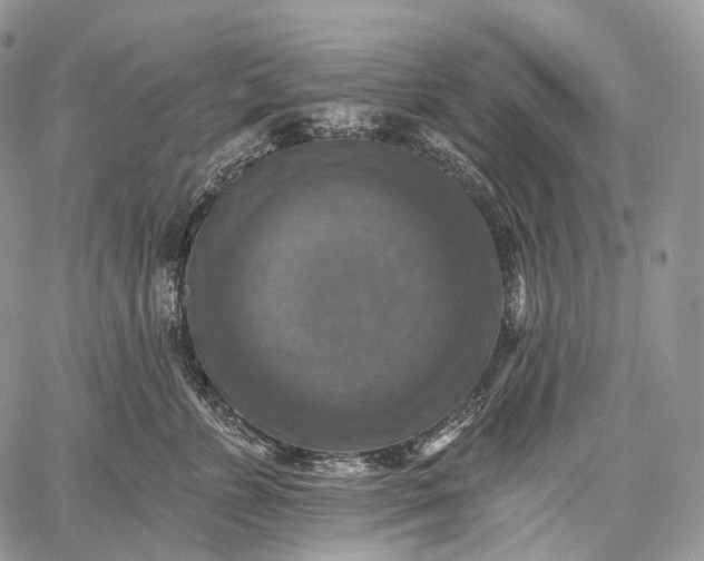 X0000059080715200510211542