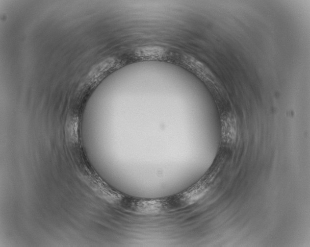 X0000059080717200510211542