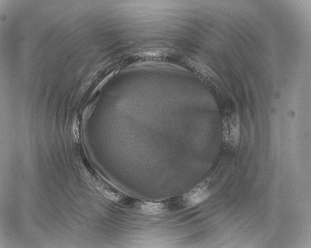 X0000059080718200510211542