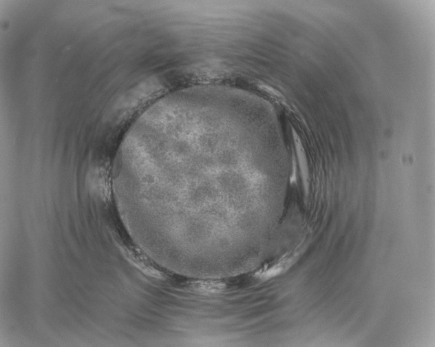 X0000059080719200510211542