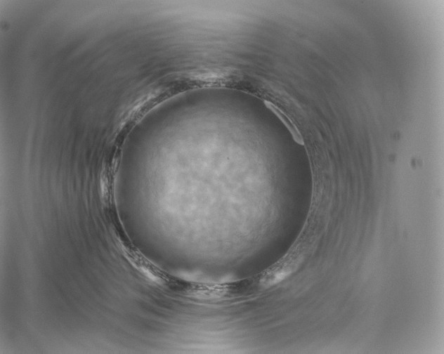 X0000059080720200510211542