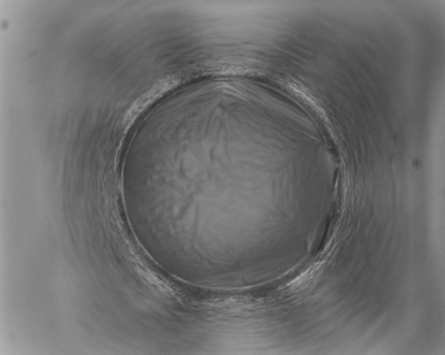 X0000059080721200510211541