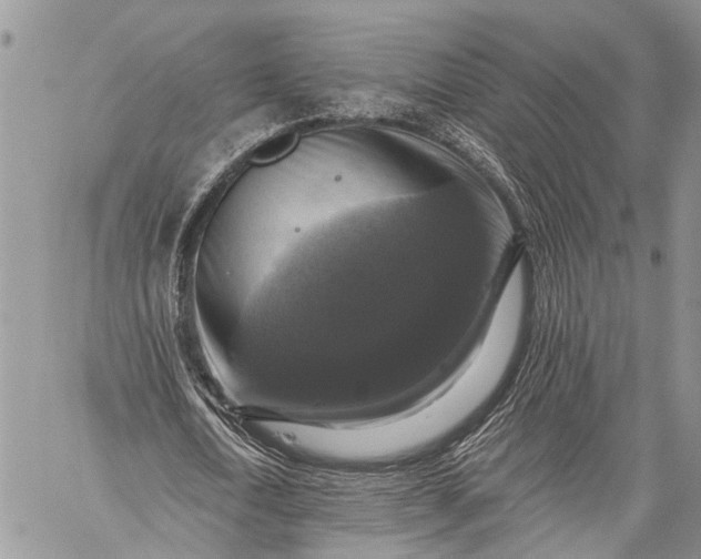 X0000059080722200510211541