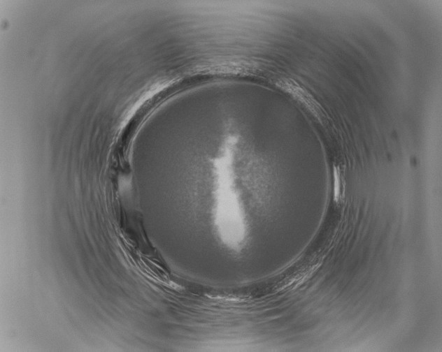 X0000059080723200510211541