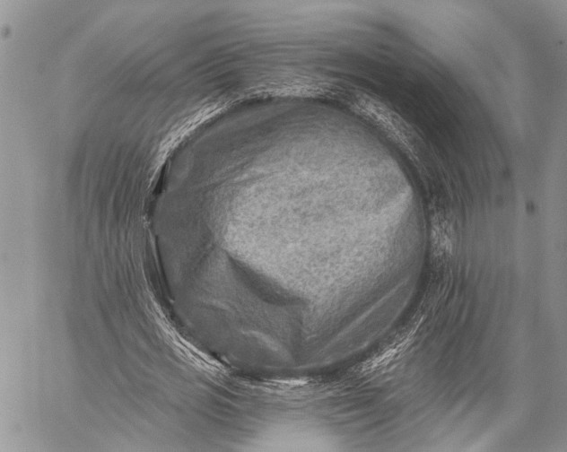 X0000059080725200510211541