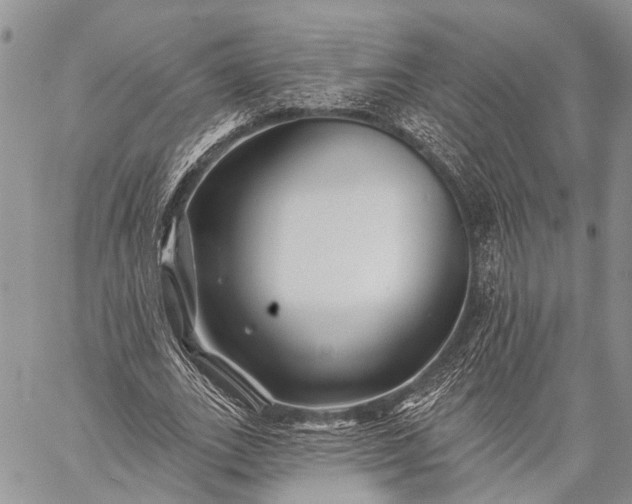 X0000059080727200510211541