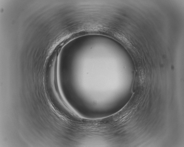 X0000059080728200510211541