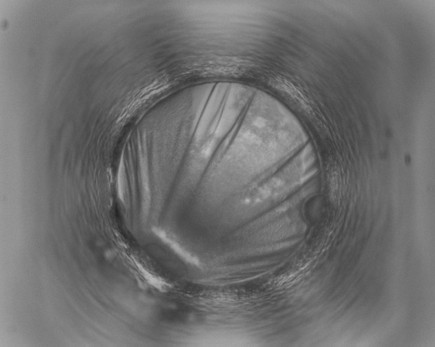 X0000059080729200510211541