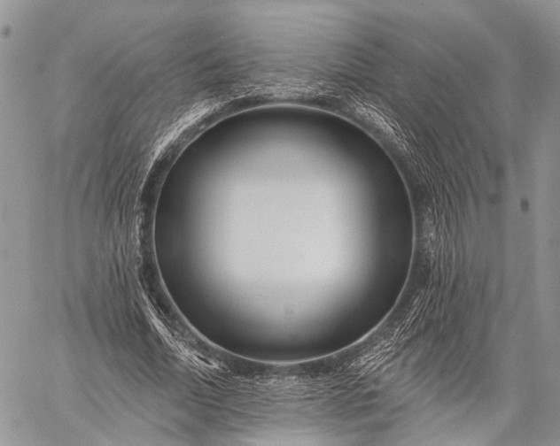 X0000059080730200510211541