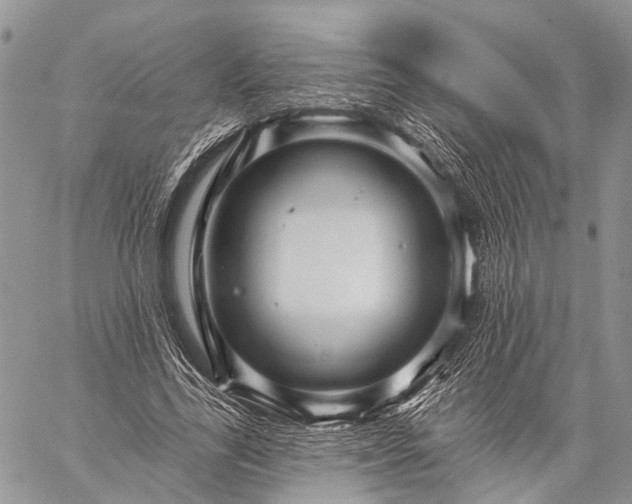 X0000059080731200510211541