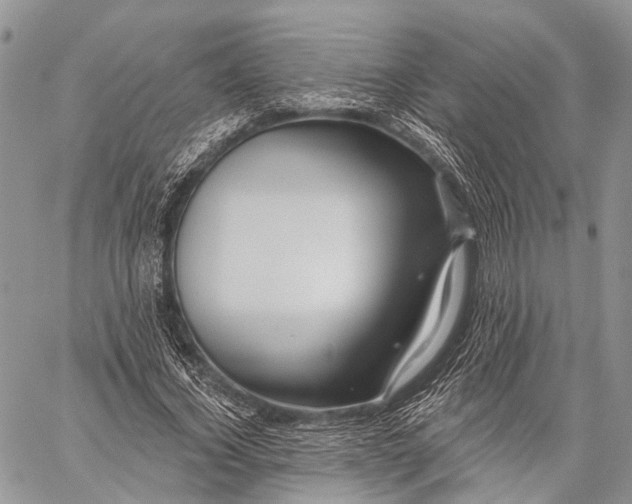 X0000059080732200510211541