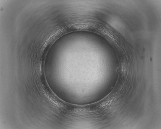 X0000059080733200510211541