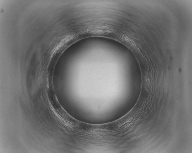 X0000059080734200510211541