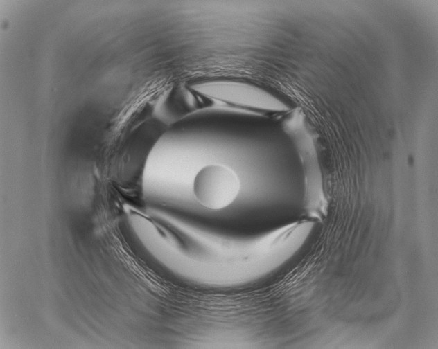 X0000059080735200510211541