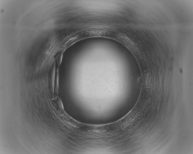 X0000059080737200510211541