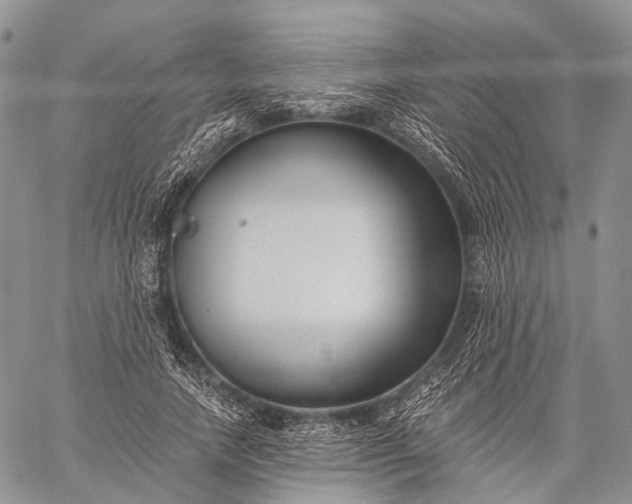 X0000059080738200510211541