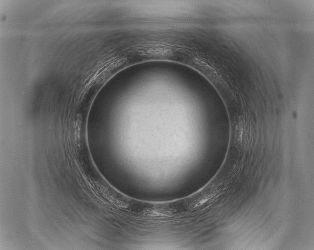 X0000059080739200510211541