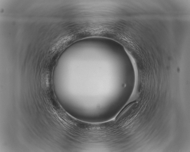 X0000059080740200510211541