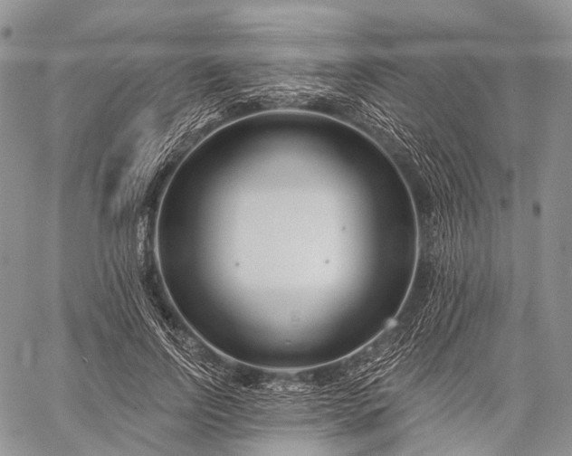 X0000059080742200510211541