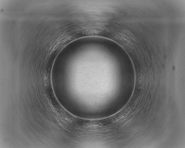 X0000059080743200510211541