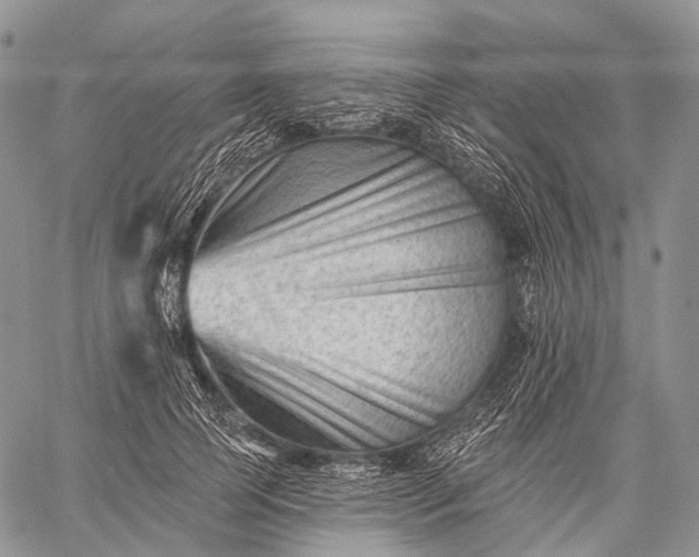 X0000059080745200510211541