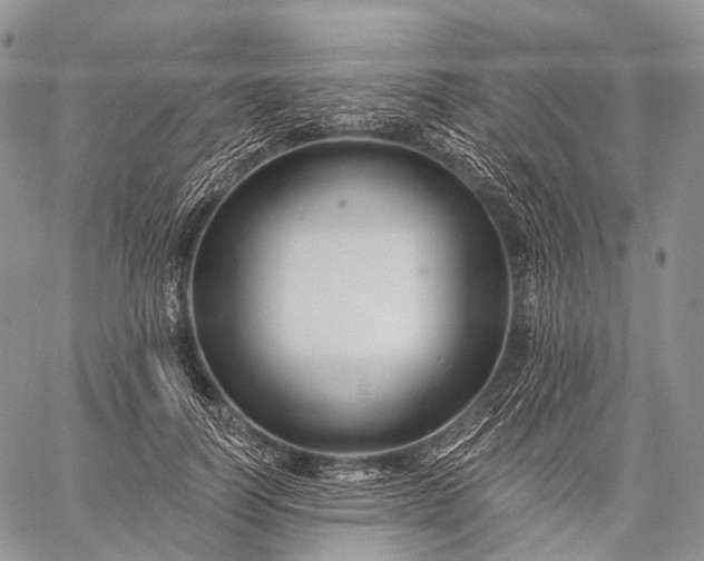 X0000059080746200510211541