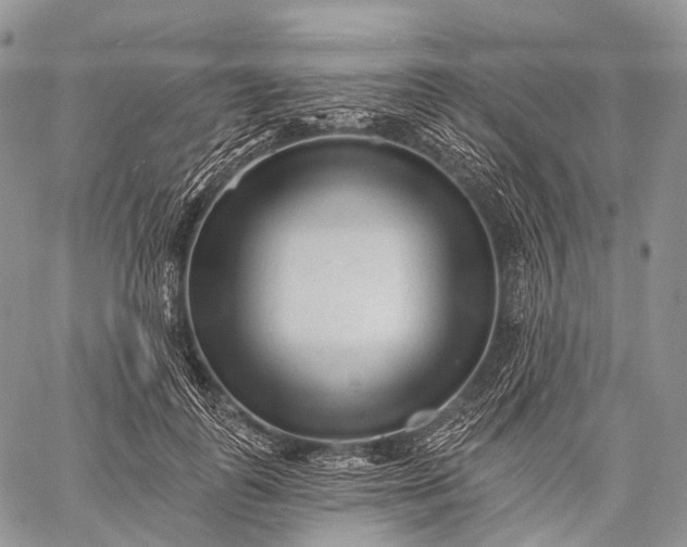 X0000059080747200510211541