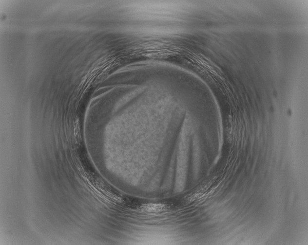 X0000059080748200510211541