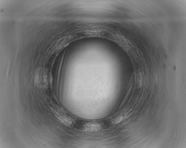 X0000059080749200510211541