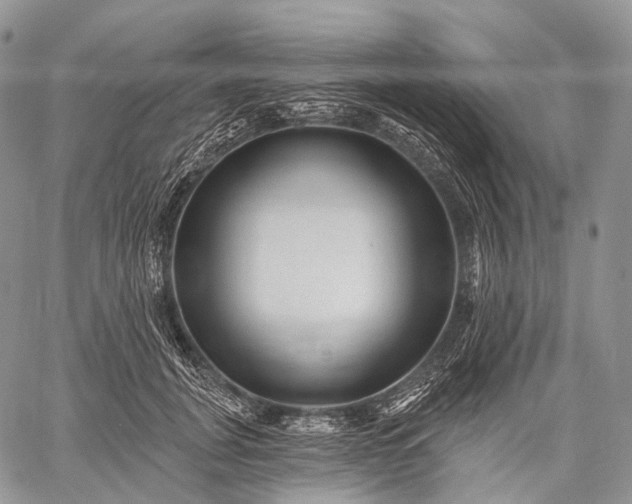 X0000059080751200510211541