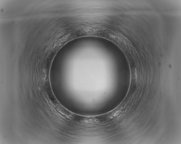 X0000059080752200510211541