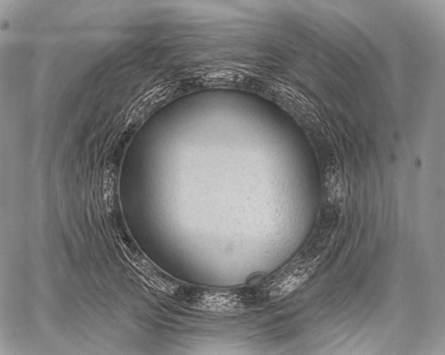 X0000059080753200510211541