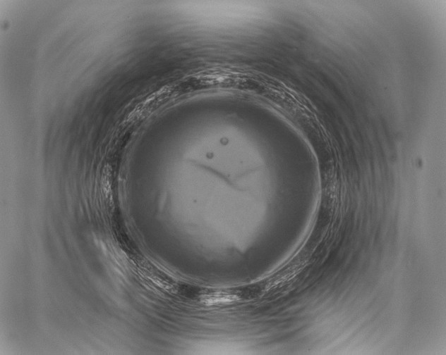 X0000059080754200510211541