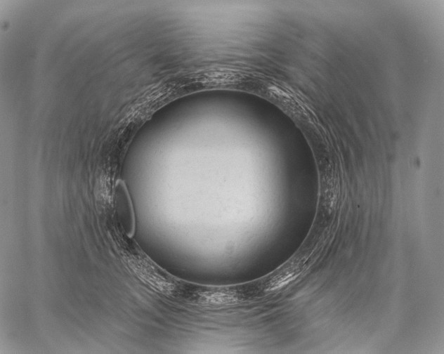 X0000059080755200510211541