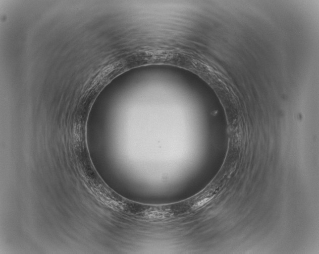 X0000059080756200510211541