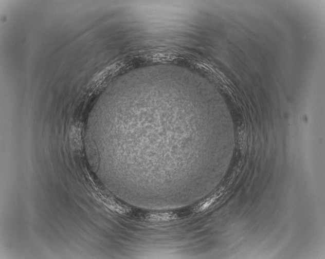 X0000059080757200510211541