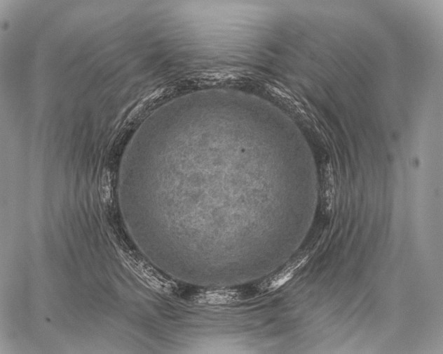 X0000059080758200510211541