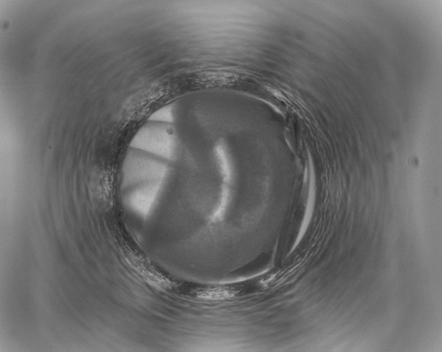 X0000059080759200510211541