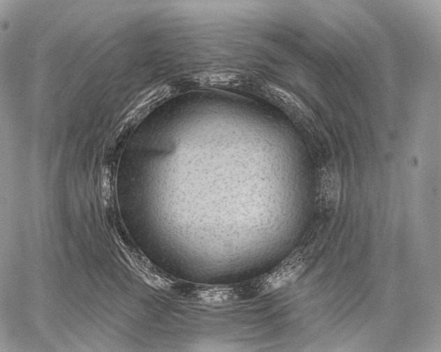 X0000059080761200510211542