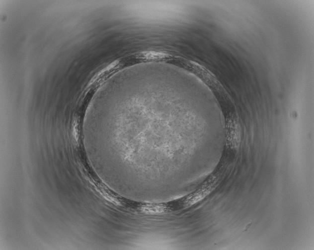 X0000059080762200510211542